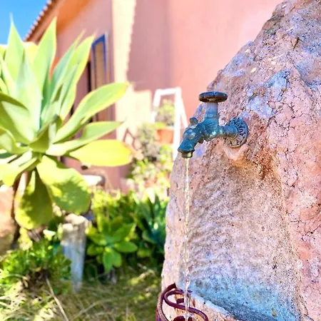 Διαμέρισμα Ginestra *