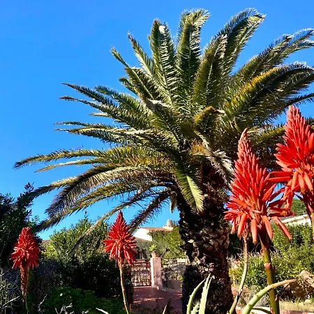 Ginestra Διαμέρισμα Λα Μανταλένα