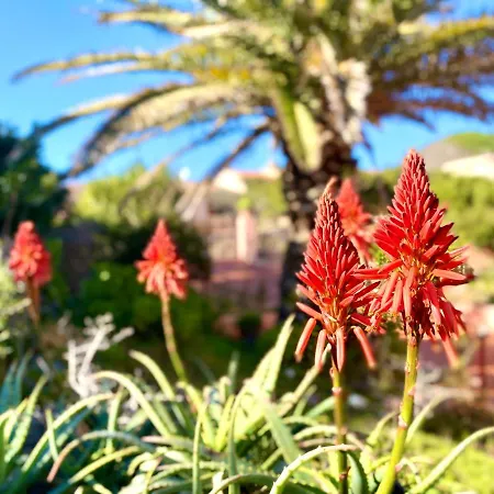 Ginestra Διαμέρισμα