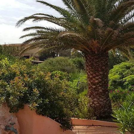 Ginestra Apartament *
