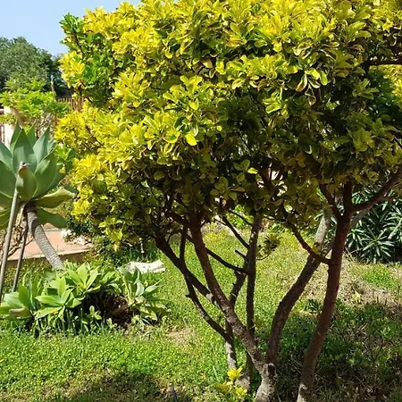 Διαμέρισμα Ginestra Λα Μανταλένα