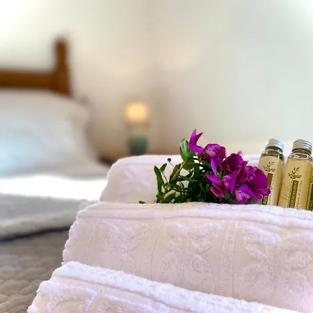 Apartment Ginestra *
